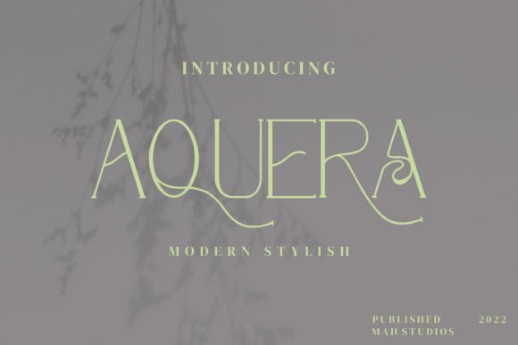 Aquera: The Serif Typeface That Elevates Digital Campaigns