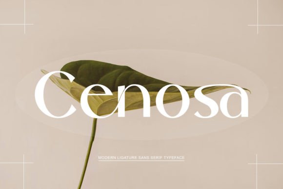 Cenosa: A Refined Sans Serif Font for Modern Editorial Design
